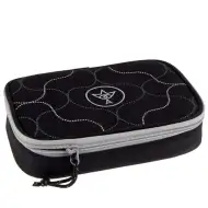 Nadstropna peresnica Ars Una: Silver lines