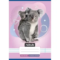 Nebulo: Koala 4. razred zvezek A/5 21-32 slika 1
