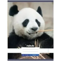 Nebulo: Panda gladka zvezek A4 80-32