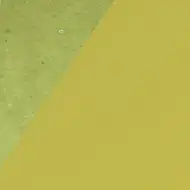 Okrasni karton kaki barve 10 kosov B4