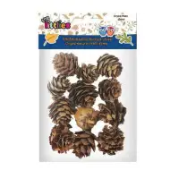 Posušeni borovi stožci 12-delni paket