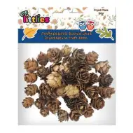 Posušeni borovi stožci 20gr