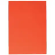 Spirit: List dekorativnega kartona oranžne barve 70x100cm 1 kos