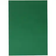 Spirit: List dekorativnega kartona zelene barve 70x100cm