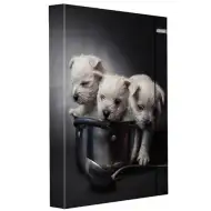 Spirit: Majhni kužki Register z gumijastim trakom velikosti A4