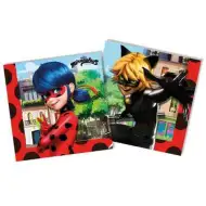 Zgodbe Ladybug in Cat Noir: 20-delni komplet prtičkov 33x33cm