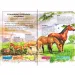Beri z nami! (3) - Zgodba o konjih, otroška knjiga