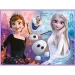 Disney: Ledeno kraljestvo 2.- Princeske na svoji zemlji puzzle in spominska kartica 2 v 1 set - Trefl