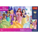 Disneyjeve princeske 100-delna UFT sestavljanka s plakatom - Trefl