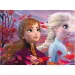Frozen 2 v 1, 60-delni Eco puzzle in pobarvanka 70x50 cm – Lisciani