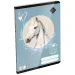 ICO: LizzySuli Wild Beauty Sport Club zvezek brez črt A5 20-32