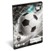 ICO: Lizzysuli Top League FTW črtast zvezek za 2. razred