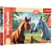 Konji na jasi, 200-delni puzzle - Trefl