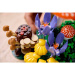 LEGO® Botanicals: Gozdne gobe (11505)