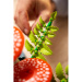 LEGO® Botanicals: Gozdne gobe (11505)