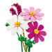LEGO® Botanicals: Metuljni cvetovi (11514)