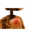 LEGO® Ideas: E.T. - nezemljan (21370)