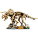 LEGO® Jurassic World™: Ostanki dinozavrov: Triceratops (77985)