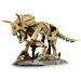 LEGO® Jurassic World™: Ostanki dinozavrov: Triceratops (77985)