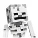 LEGO® Minecraft: Kostlivec (21594) slika 3