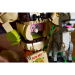 LEGO®: Shrek, Osel in Maček v škornjih (72423)
