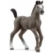 Schleich: Figura žrebička pasme Cheval de Selle (13957)