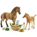Schleich: Horse Club - Sarahini mali ljubljenčki set za nego (42432)