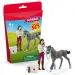 Schleich: Nega za konje s trakehnerskim žrebičkom (42752)