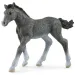 Schleich: figura žrebička trakehnerja (13944)