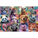 Smešne živalske portrete, 300-delni puzzle - Trefl