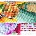 Diamantni mozaik: Set za slikanje z diamanti z enorogi in cvetjem 10x15cm slika 2