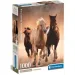 Divji konji HQC 1000-delni puzzle s plakatom - Clementoni