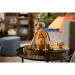 LEGO® Ideas: E.T. Zunajzemeljčan (21370) slika 9