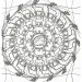 Mandalas in barvanke - Divje živali slika 3