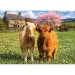 Prijatelji na kmetiji 500-delni puzzle - Trefl slika 2