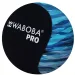 Waboba: Pro vodno odbojko v več različicah slika 2
